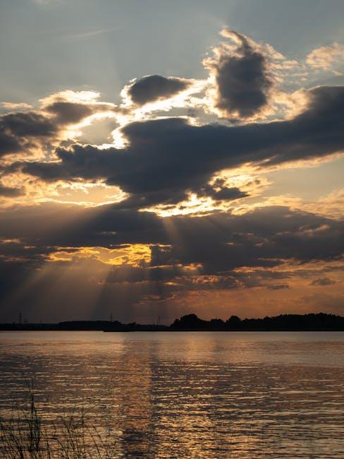 Bitcoin ETF napływy kapitału w 2025 roku