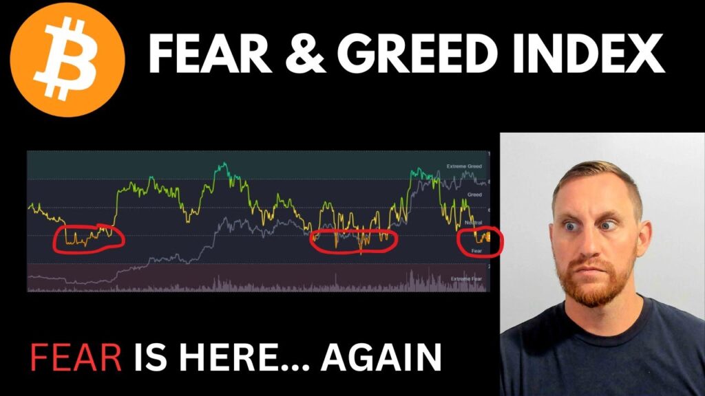 Crypto Fear Greed Index Fear Is Back Of