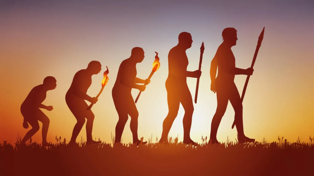 Humans evolved faster than any other ape Humans evolved faster than any other ape