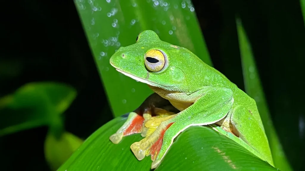 Scientists just found a surprising twist in Earth’s extinction story Scientists just found a surprising twist in Earth’s extinction story