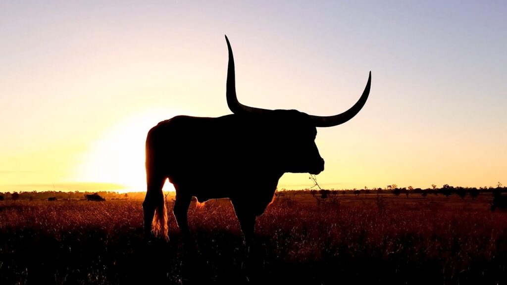 XRP sparks bullish frenzy as top developer busts ETF hype XRP sparks bullish frenzy as top developer busts ETF hype