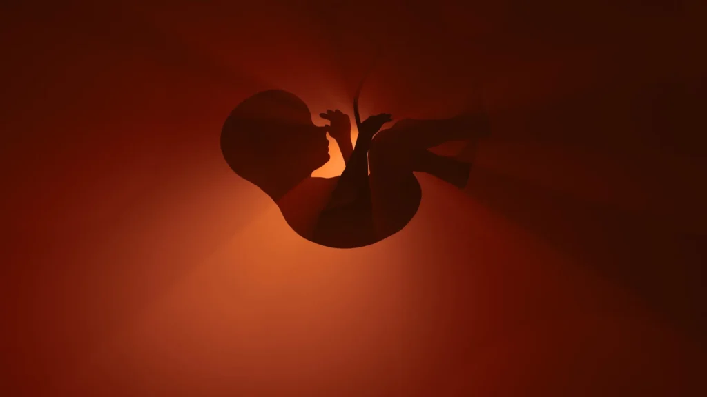 A popular “essential” medicine may be putting unborn babies at risk A popular “essential” medicine may be putting unborn babies at risk