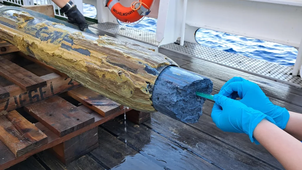 Life found in a place scientists thought impossible Life found in a place scientists thought impossible