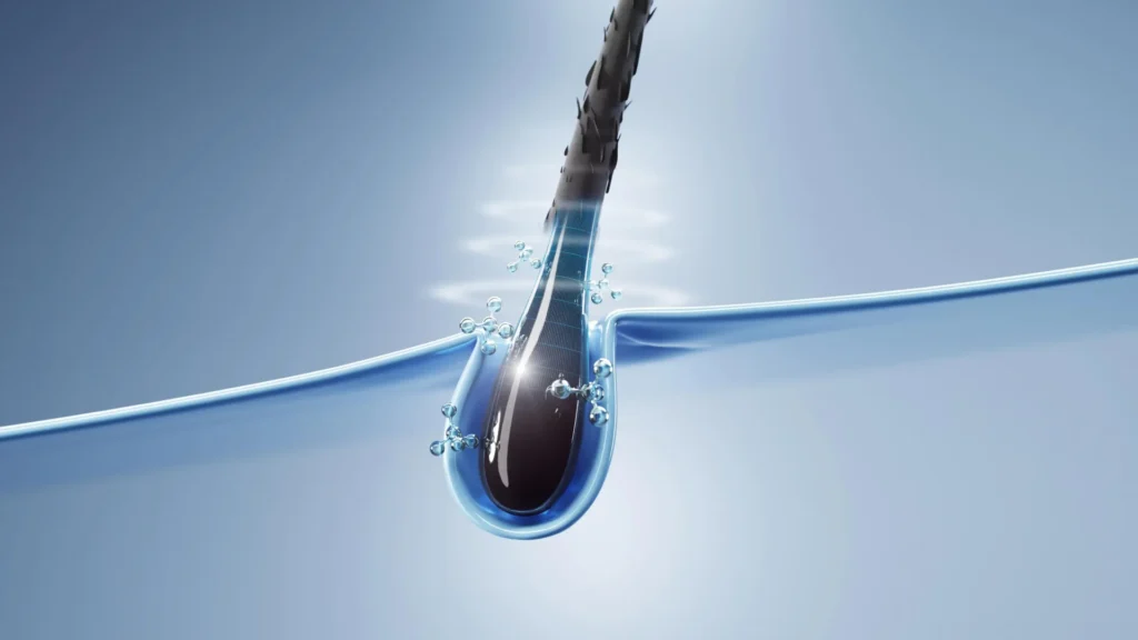 Scientists discover how hair cells can help heal skin faster Scientists discover how hair cells can help heal skin faster