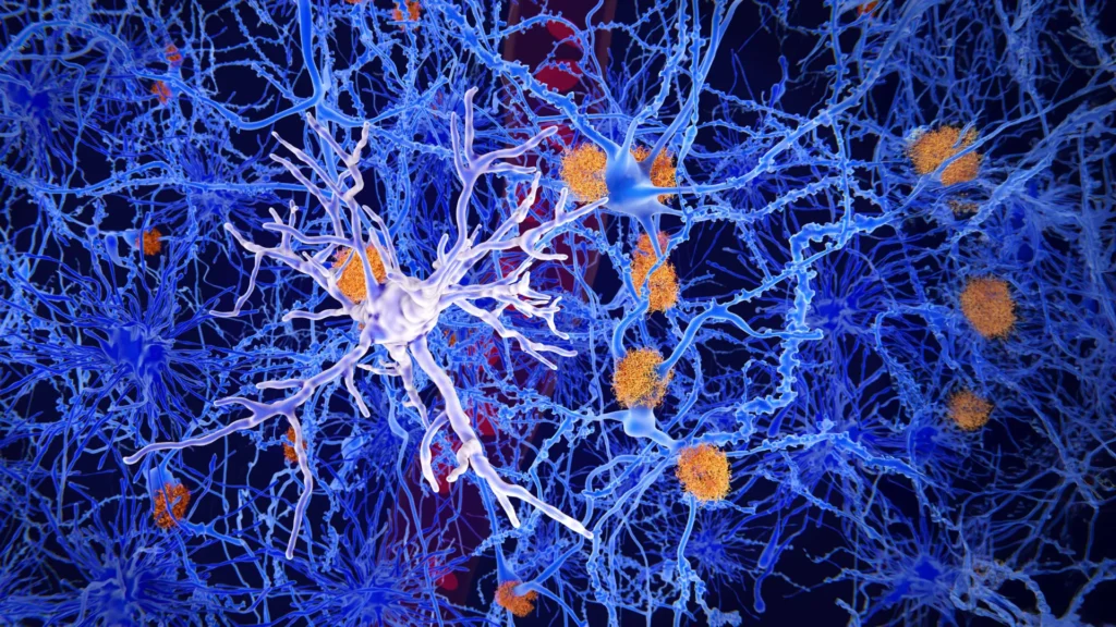 Scientists find brain cells that could stop Alzheimer’s Scientists find brain cells that could stop Alzheimer’s