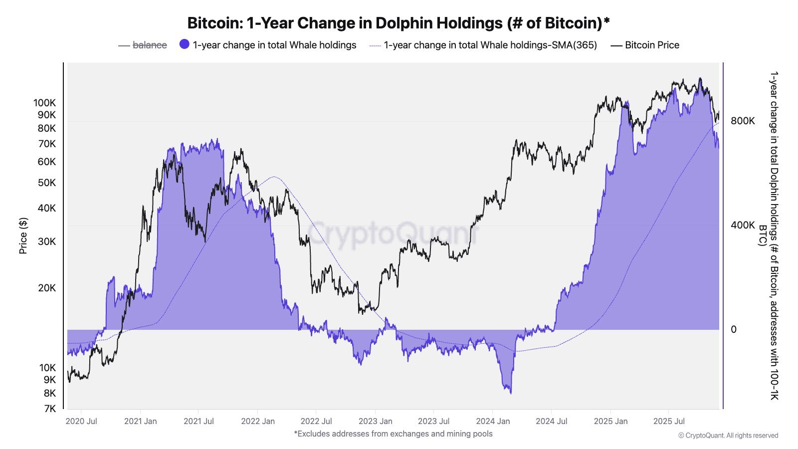 Chart showing a sharp rise in Bitcoin dolphin holdings as mid-size wallets increase accumulation during a cautious market period.