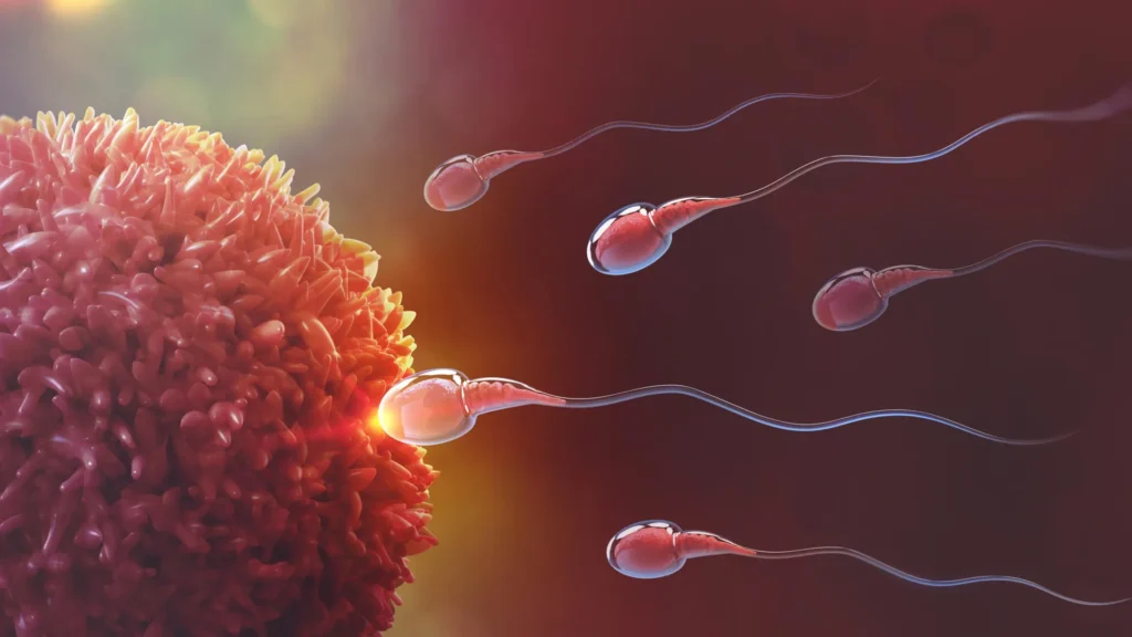 This breakthrough could finally unlock male birth control This breakthrough could finally unlock male birth control