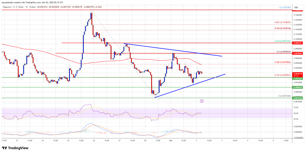Dogecoin (DOGE) falls towards critical support, threat of collapse emerges 1 dogecoin price